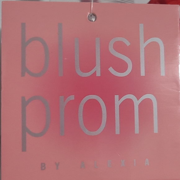 Beautiful Red Dress designed by Blush Size 10 - Picture 15 of 16